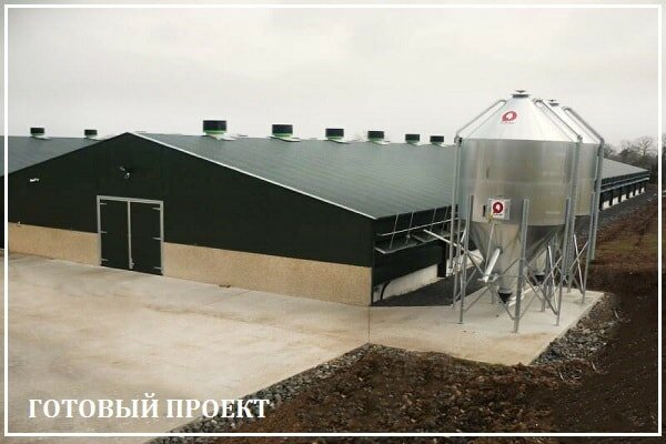 Этапы возведения птицефабрики от завода ВелесТент-знк